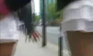 کچێکی ئەڵمانی بە پڵا ...